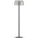 Yurei 51.5 inch 14.00 watt Matte Black Floor Lamp Portable Light in Acrylic Clear
